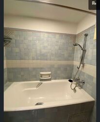 Cavenagh Lodge (D9), Apartment #533196871